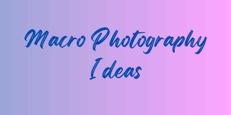 Macro Photography Ideas