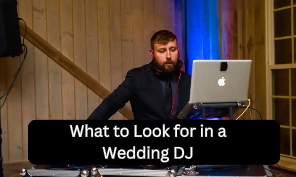 What to Look for in a Wedding DJ