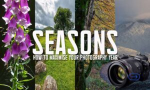 Seasonal Landscape Photography minot, ND